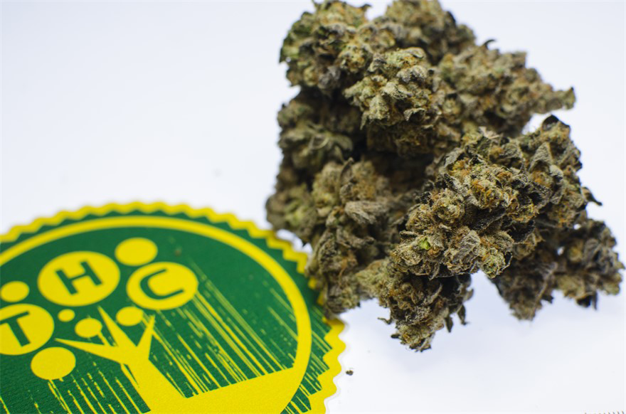 TreeHouse Collective Cannabis, Marijuana, and Pot Dispensary in Portland, OR located in the Kerns / Burnside Neighborhoods